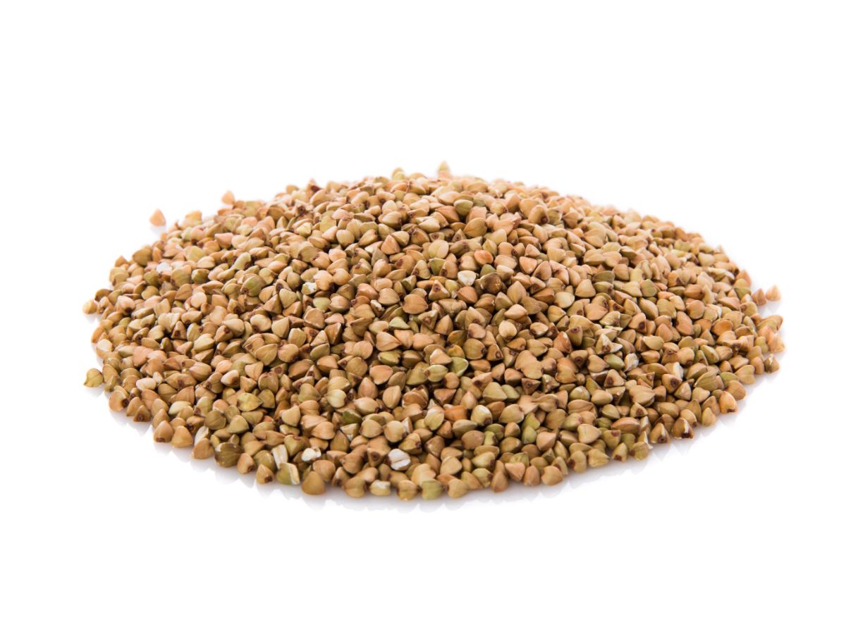 Best 20 Foods That Help You Build Lean Muscle Nutrabay Magazine