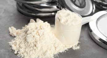 Future of Fermentation-Based Proteins: Why Yeast Protein Is Gaining Attention