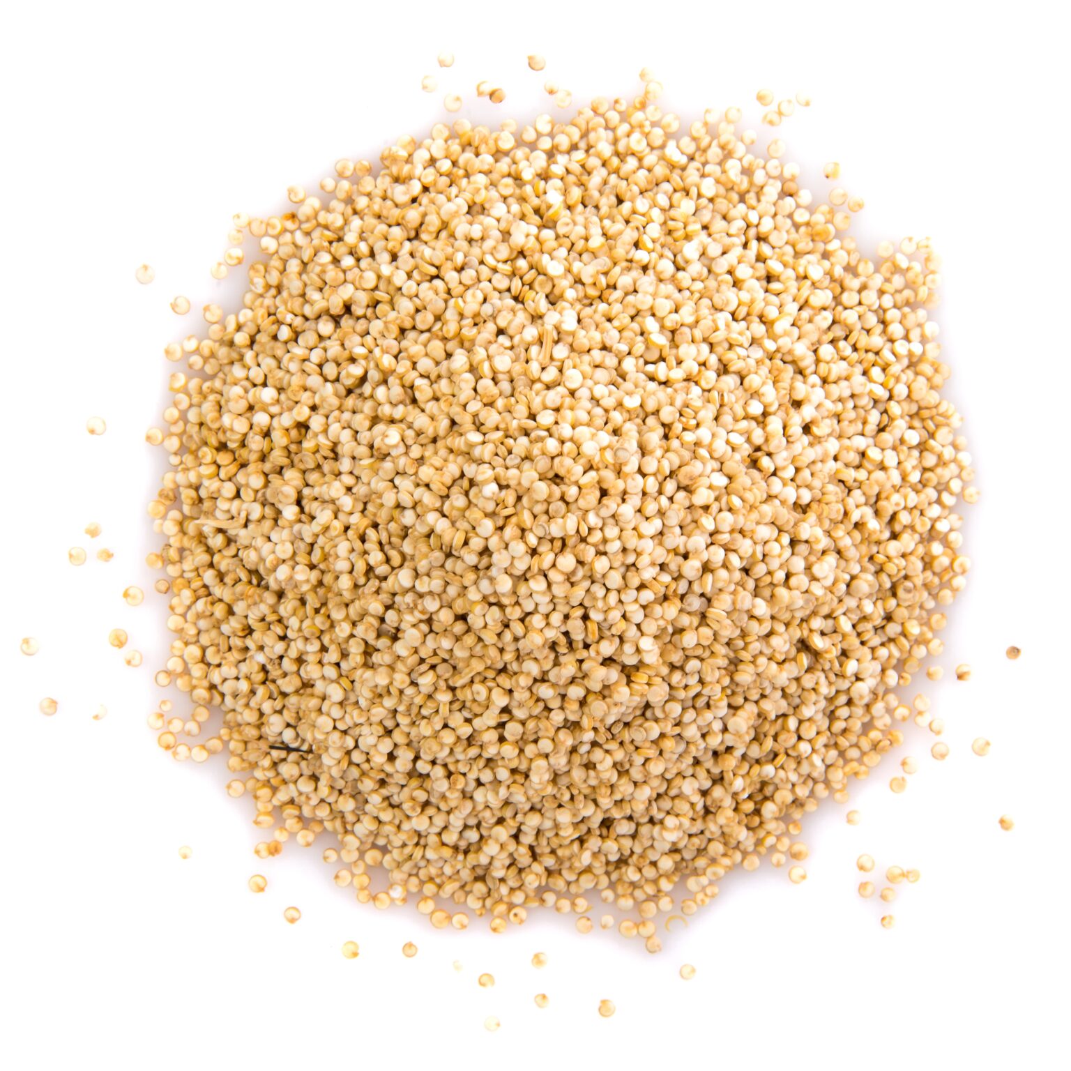 jowar
