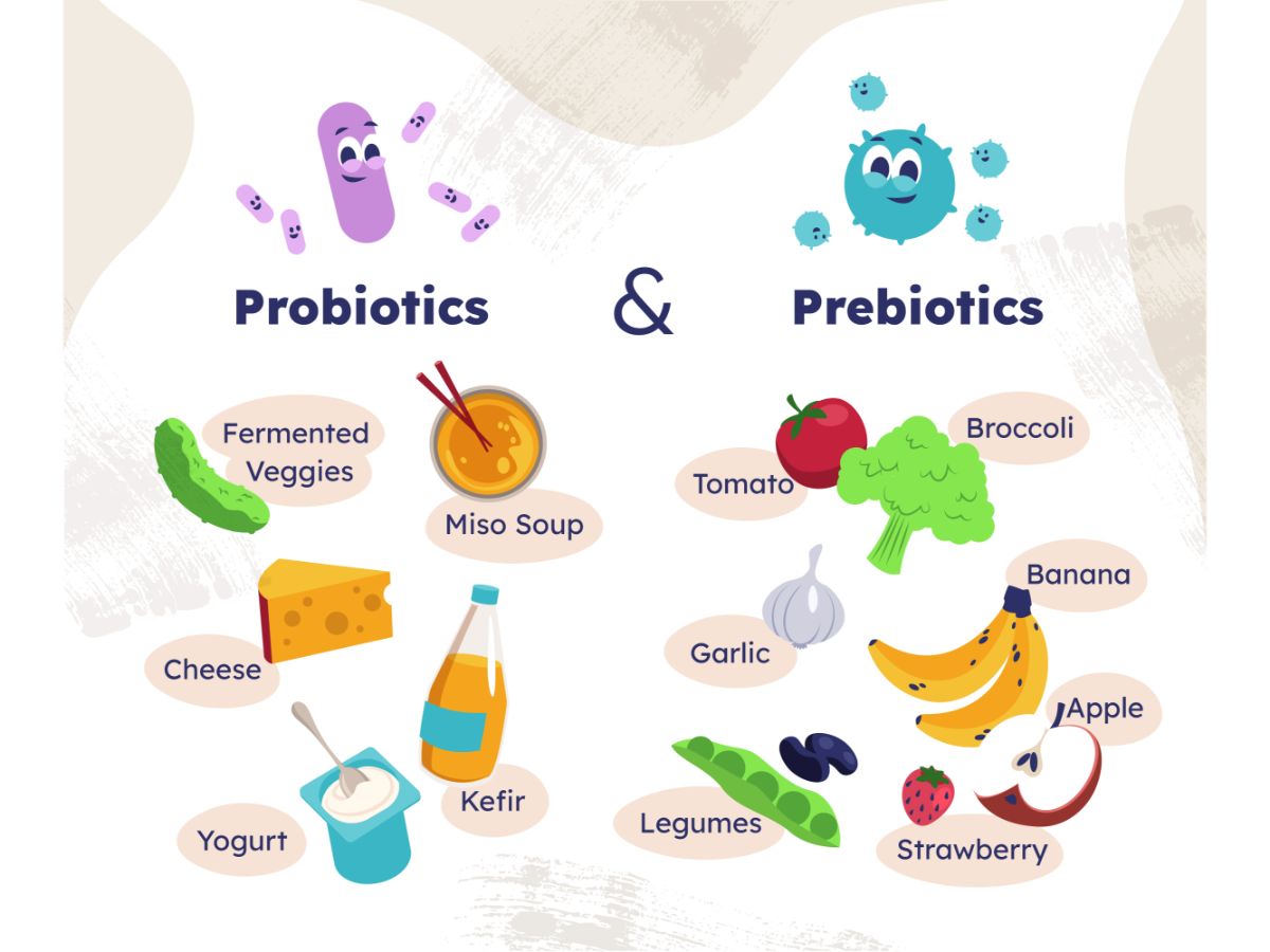 The List Of 10 Probiotic Foods For Better Health Nutrabay Magazine 9318187