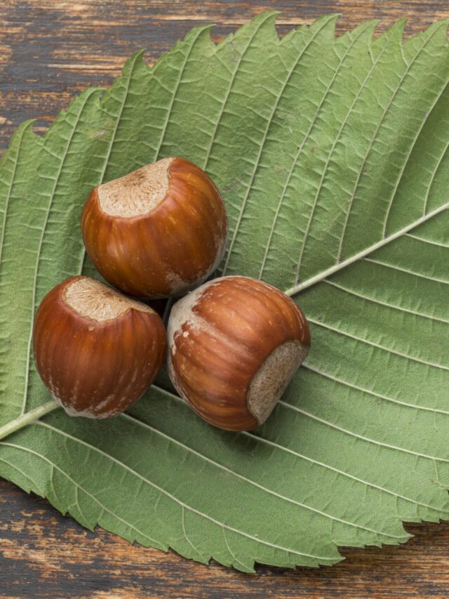 ​Do You Know About These Top 5 Health Benefits of Water Chestnut