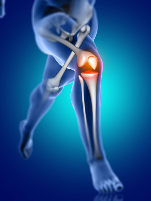 Collagen helps with Bone Strength