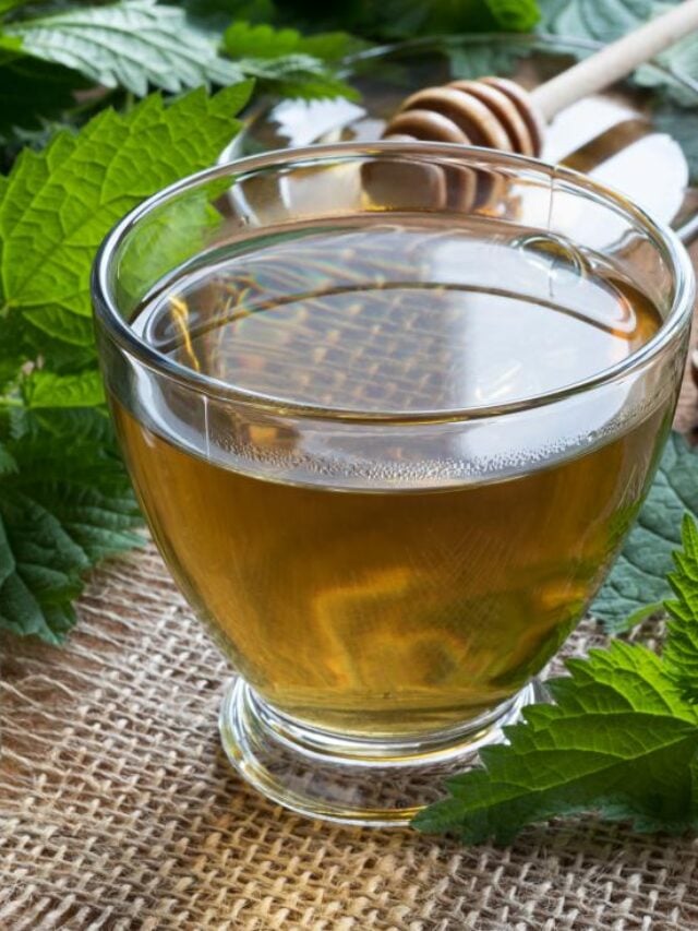 5 Herbal Teas for Headache and Migraines to Ease Pain