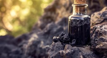 How to Consume Shilajit: Correct Way, Dosage, and Timing!