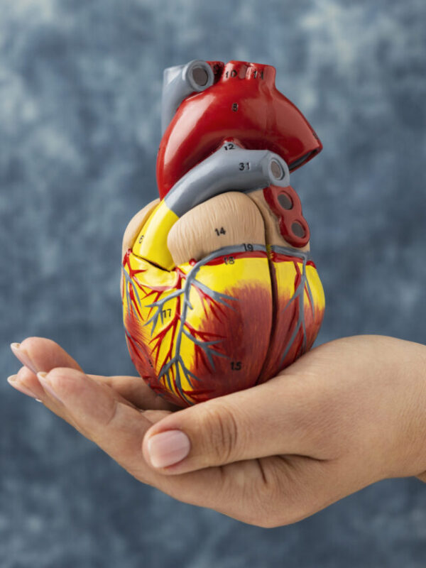 omega 3 supports Heart Health