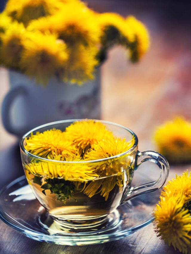 Dandelion Tea to Detox and Revitalize
