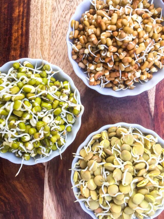 Sprouts Options 7 Reasons Why Sprouts Make for the Perfect Nutrient-Rich Breakfast ...