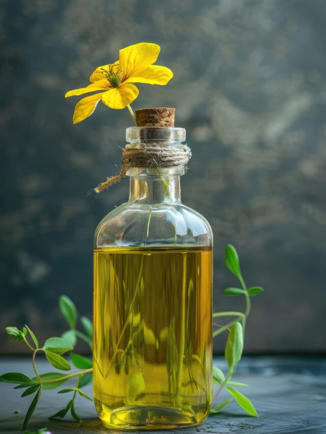 Olive Oil vs Vegetable Oil For Heart Health : Which Cooking Oil is healthier