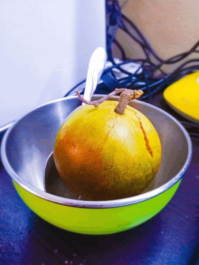 This Summer Superfruit Could Save Your Health—Have You Tried Bael Yet?