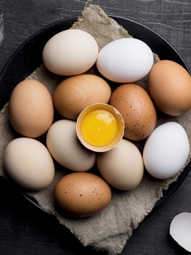 Brown Egg vs White Egg: Which One is Better?