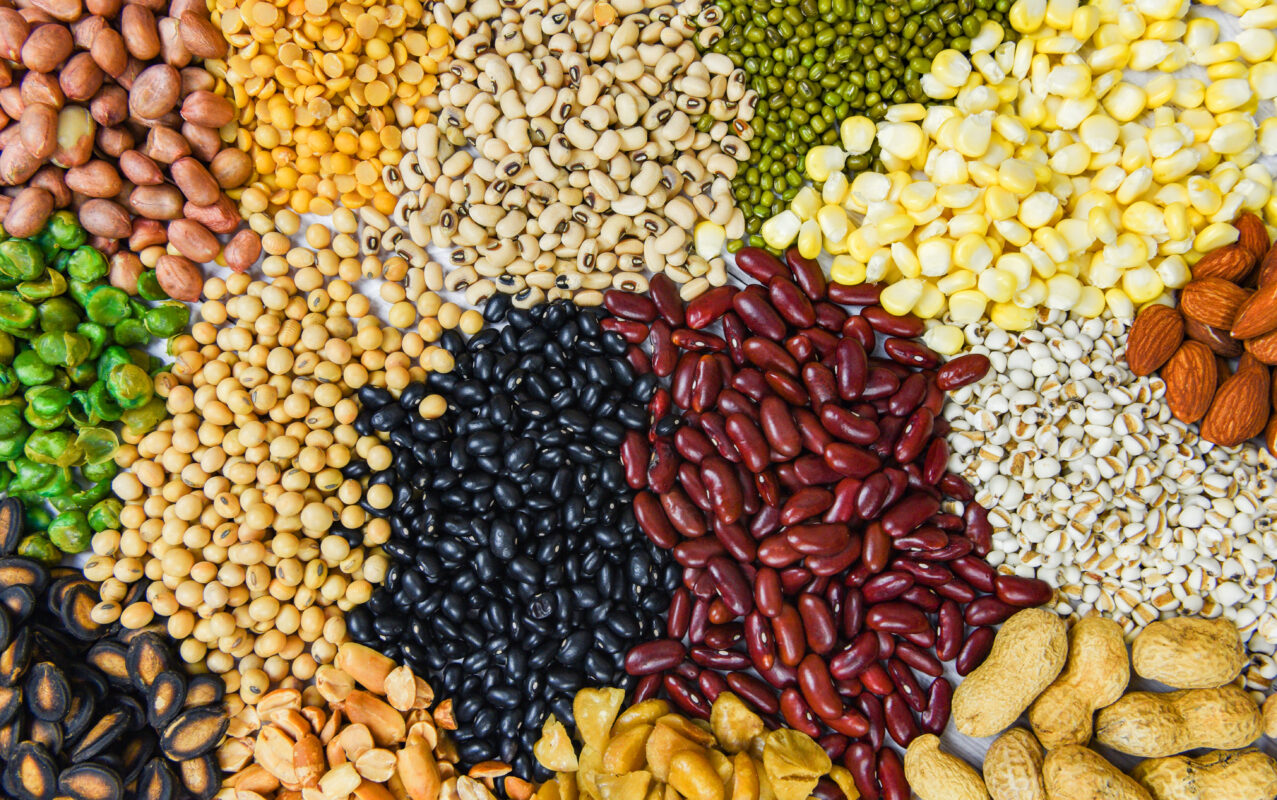 plant protein, legumes, beans