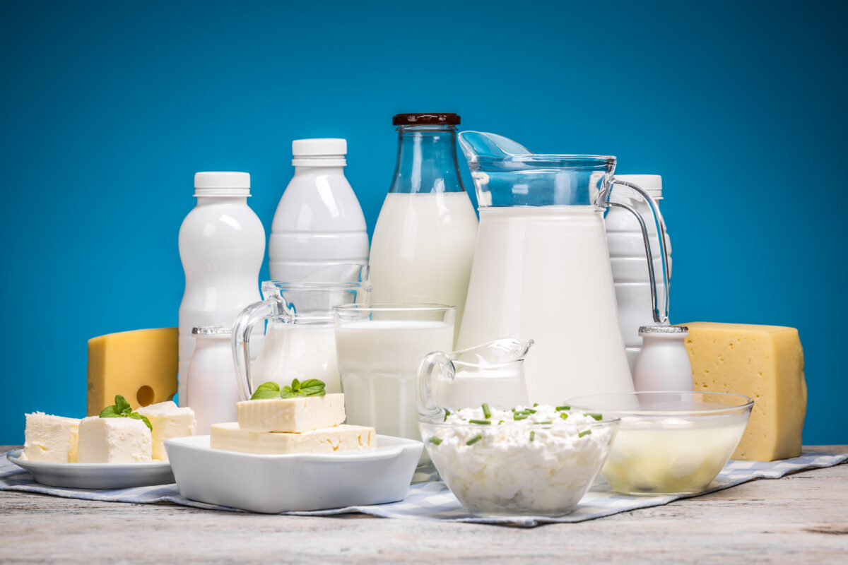 Milk and dairy for everyday nutrition