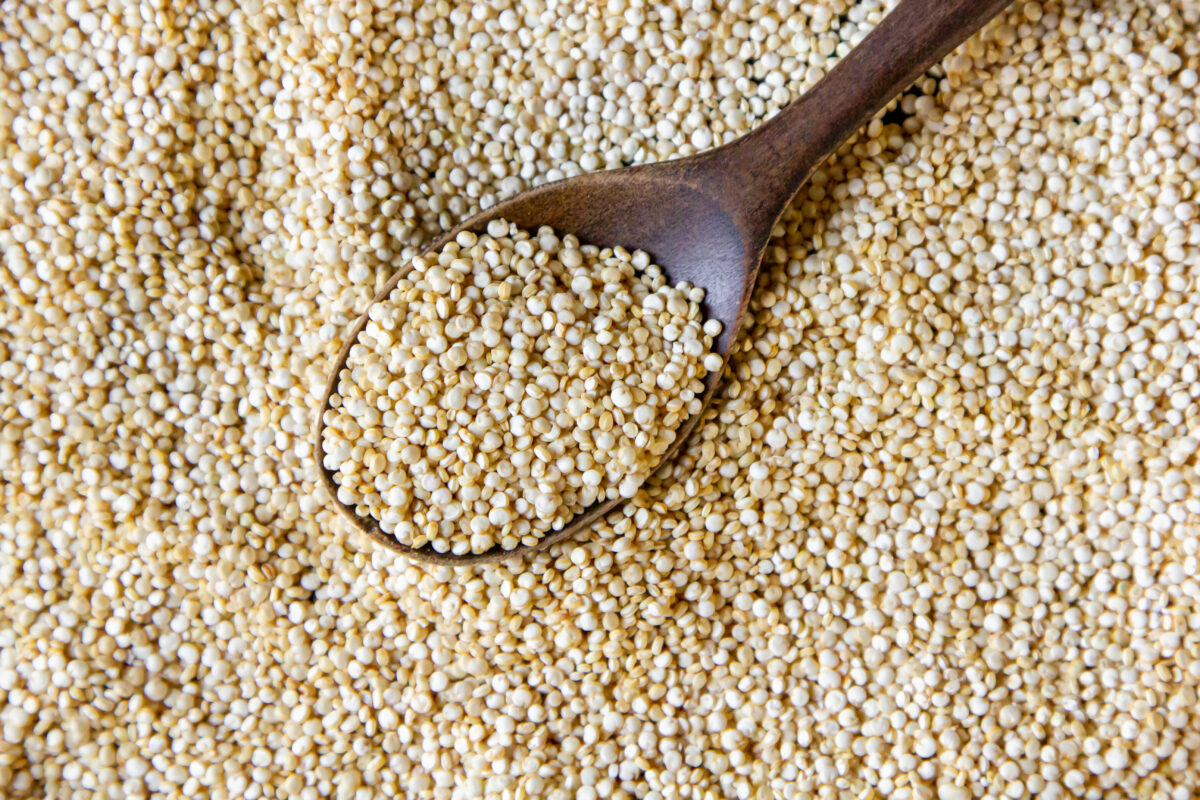 Quinoa as protein powder alternatives

