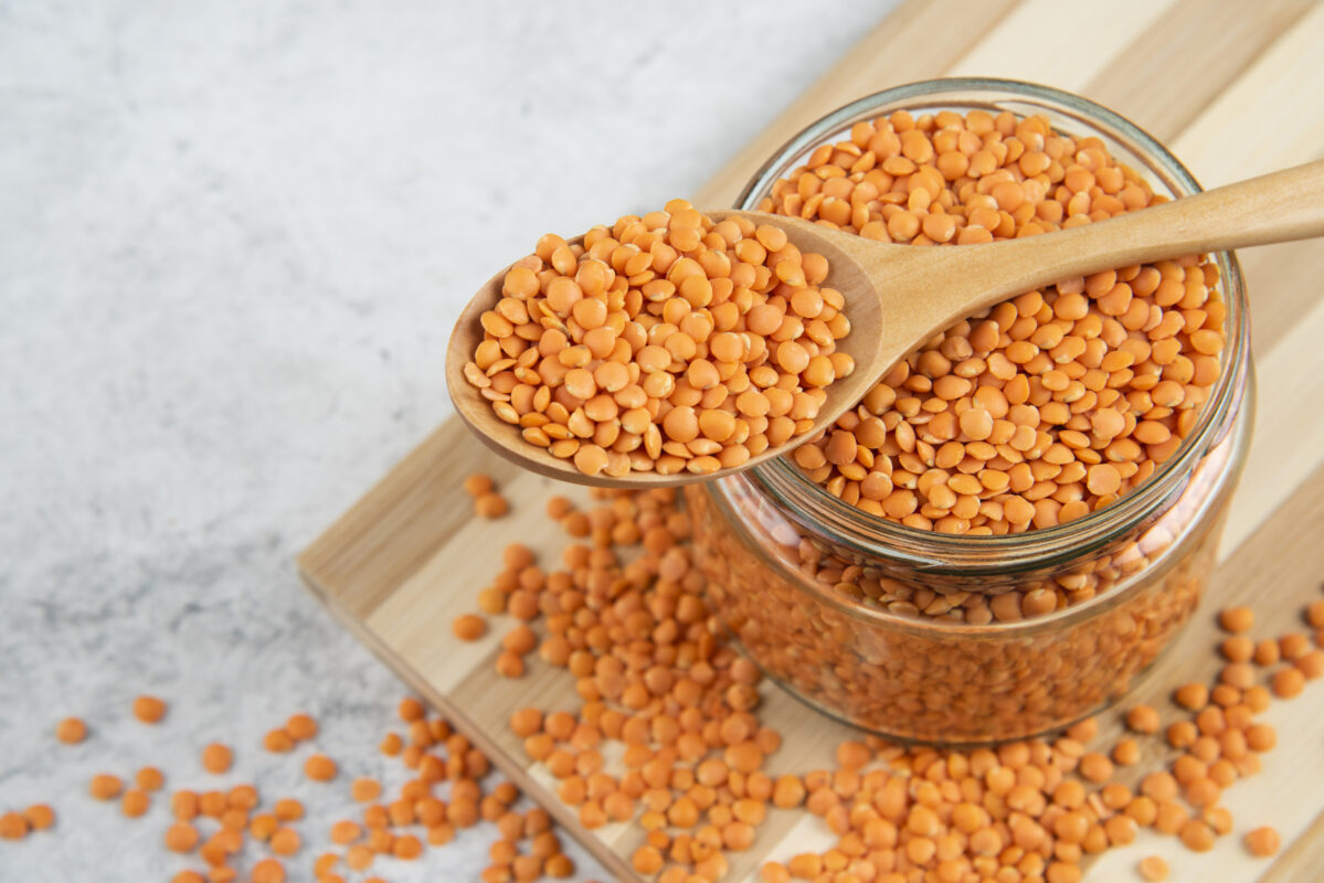 lentil as protein powder alternatives